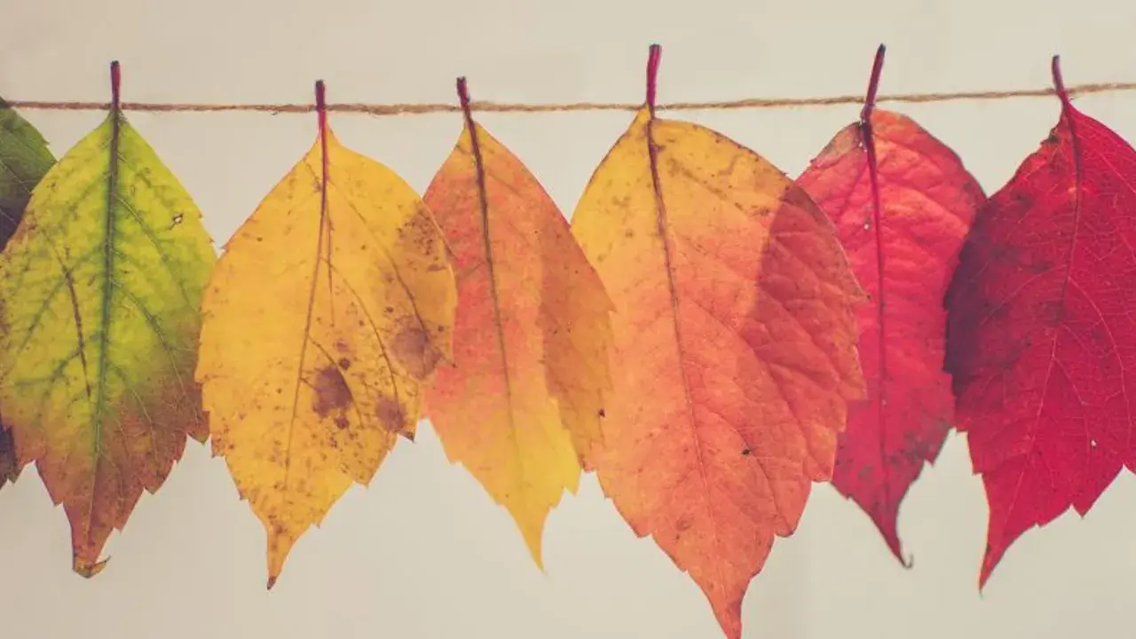 La importancia del Change Management para tu empresa